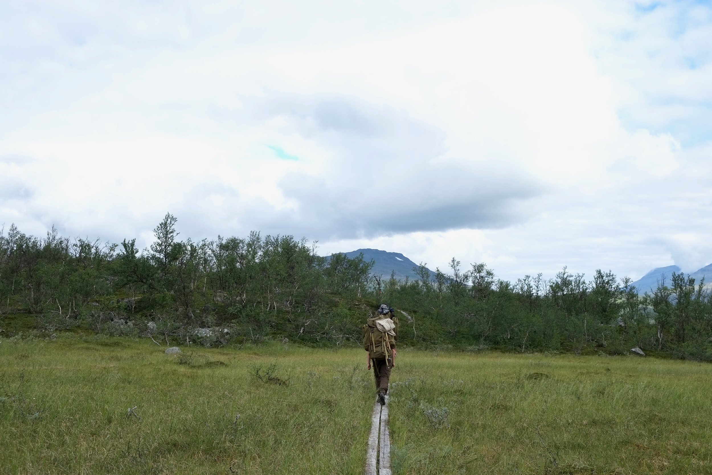 DSCF1587.jpg
