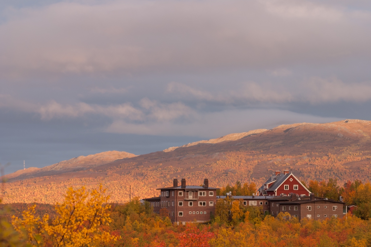 ANS Autumn Colours 1200x800.jpg