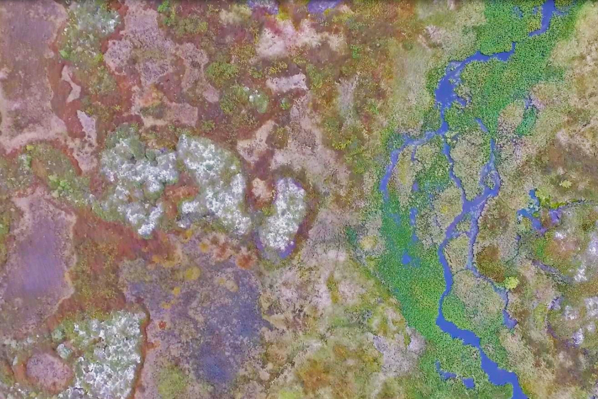 Western Siberia stream in a permafrost landscape 1200x800.jpg