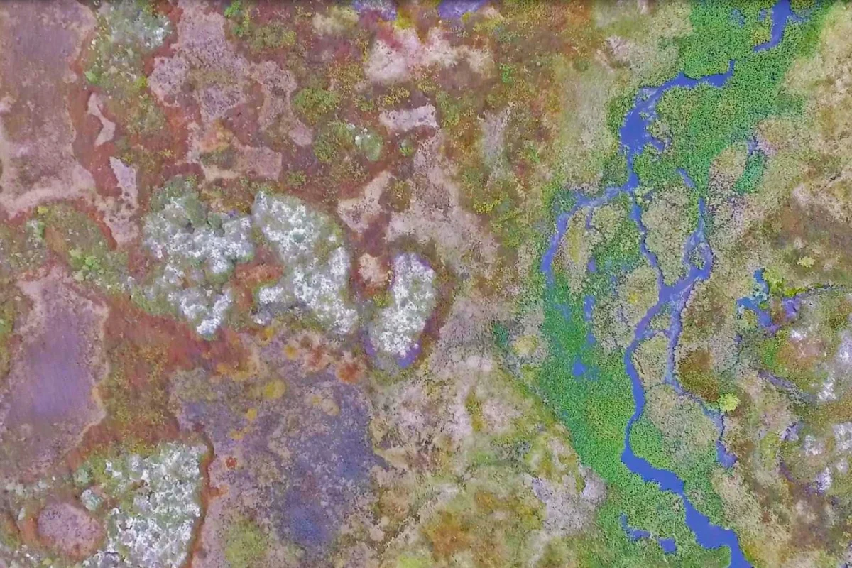 Greenhouse emissions from Siberian rivers peak as permafrost thaws