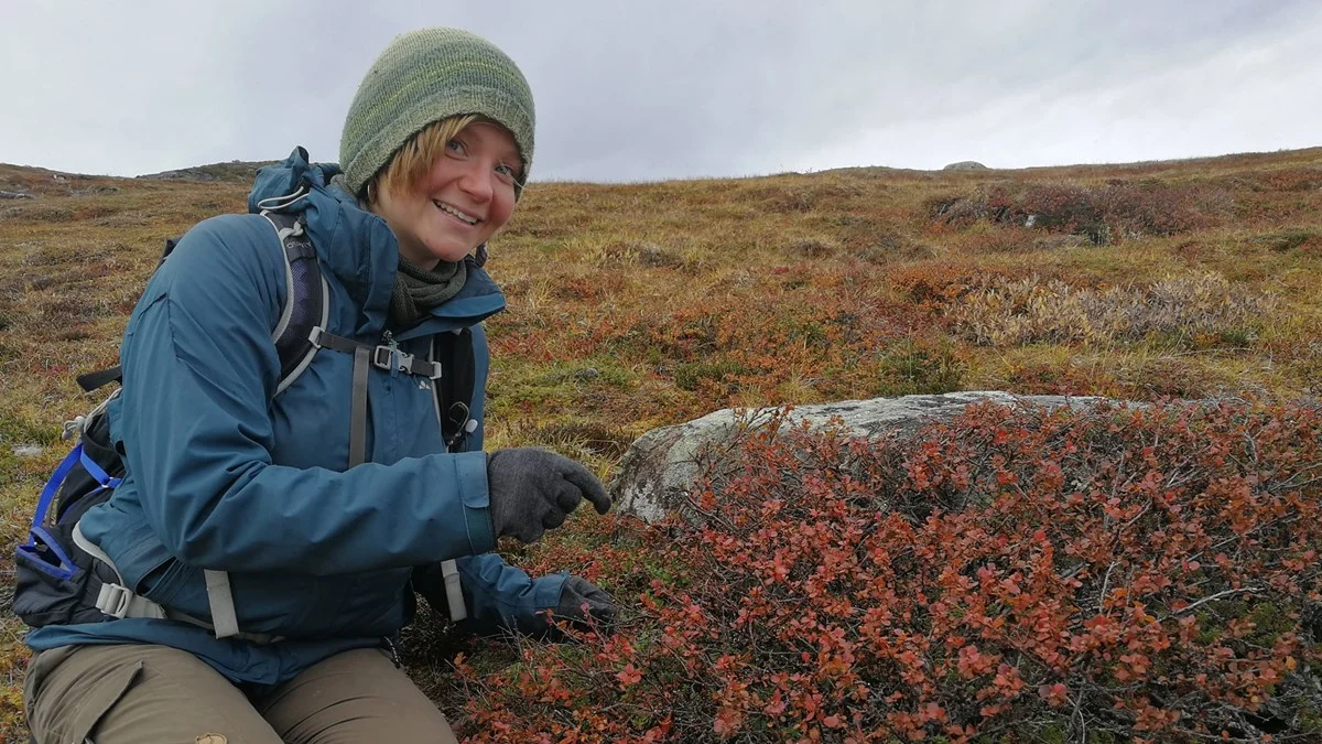 Hannah Rosenzweig är forskarstudent och har tagit prover på berget Nolia i Abisko. Foto: Simon Magnusson/SR