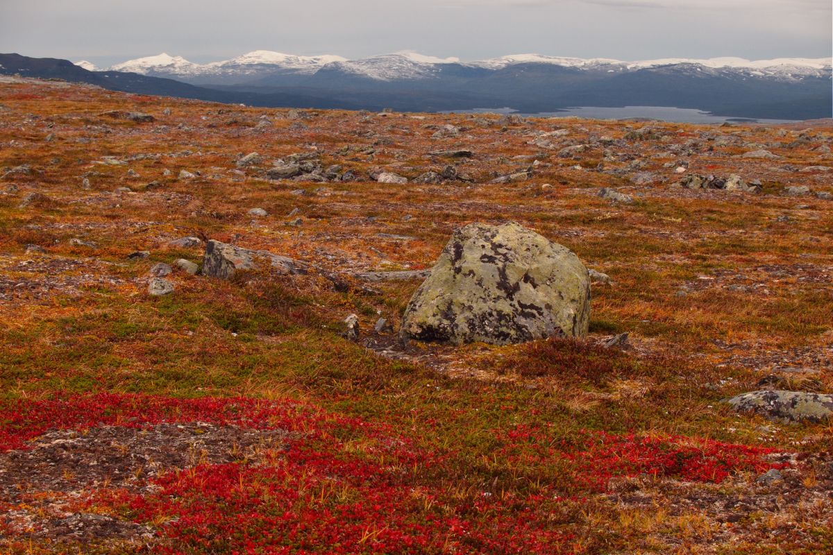 Abisko mountains b taken by Tyler Logan 1200x800px 72dpi.jpg