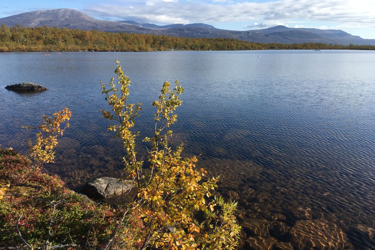 Lake_Almberga_fall_by_Jenny_Ask_on_180907 1200x800px 72dpi.jpg