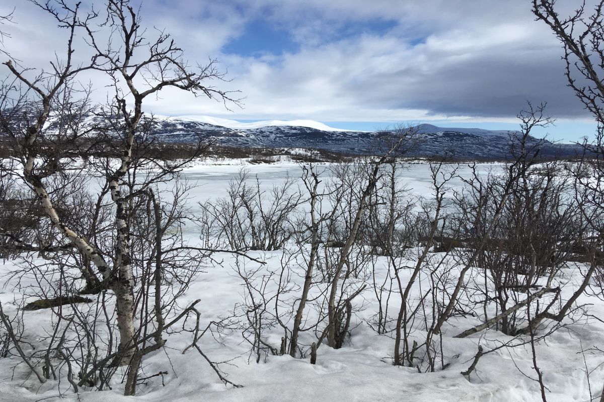 Lake_Almberga_winter_by_Jenny_Ask_on_180426 1200x800px 72dpi.jpg