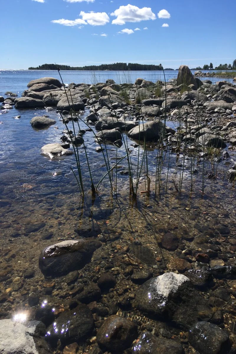 Västervadet_coastal_site_by_Jenny_Ask_on_180620 800x1200px 72dpi.jpg