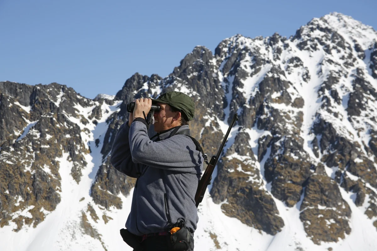 Keith Larson Hamburgukta Searching for Polar Bears 150530 1200x800.jpg