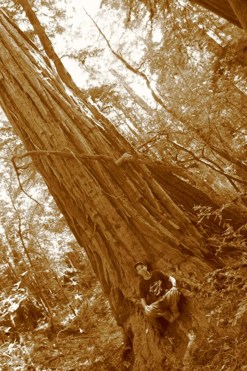 Keith Larson in Muir Woods 080908 800x1200.jpg