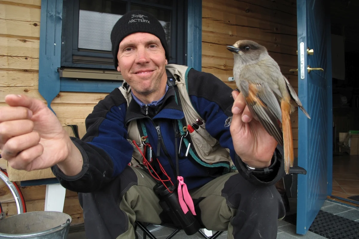 Keith Larson with Siberia Jay at Galå Fjällgård 090606 1200x800.jpg