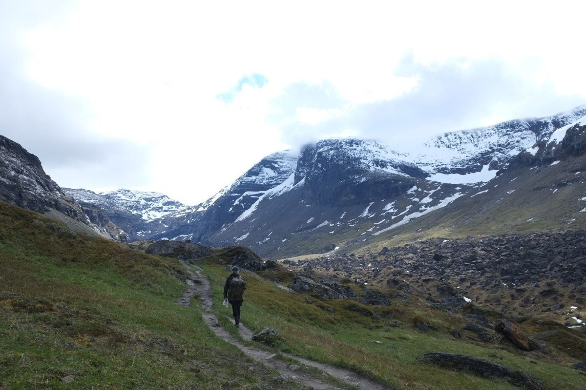 The grass is always greener… Umeå University Research Blog