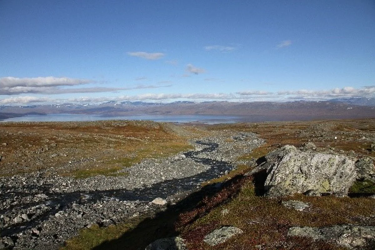 The invisible carbon: an early indication of ecosystem change!