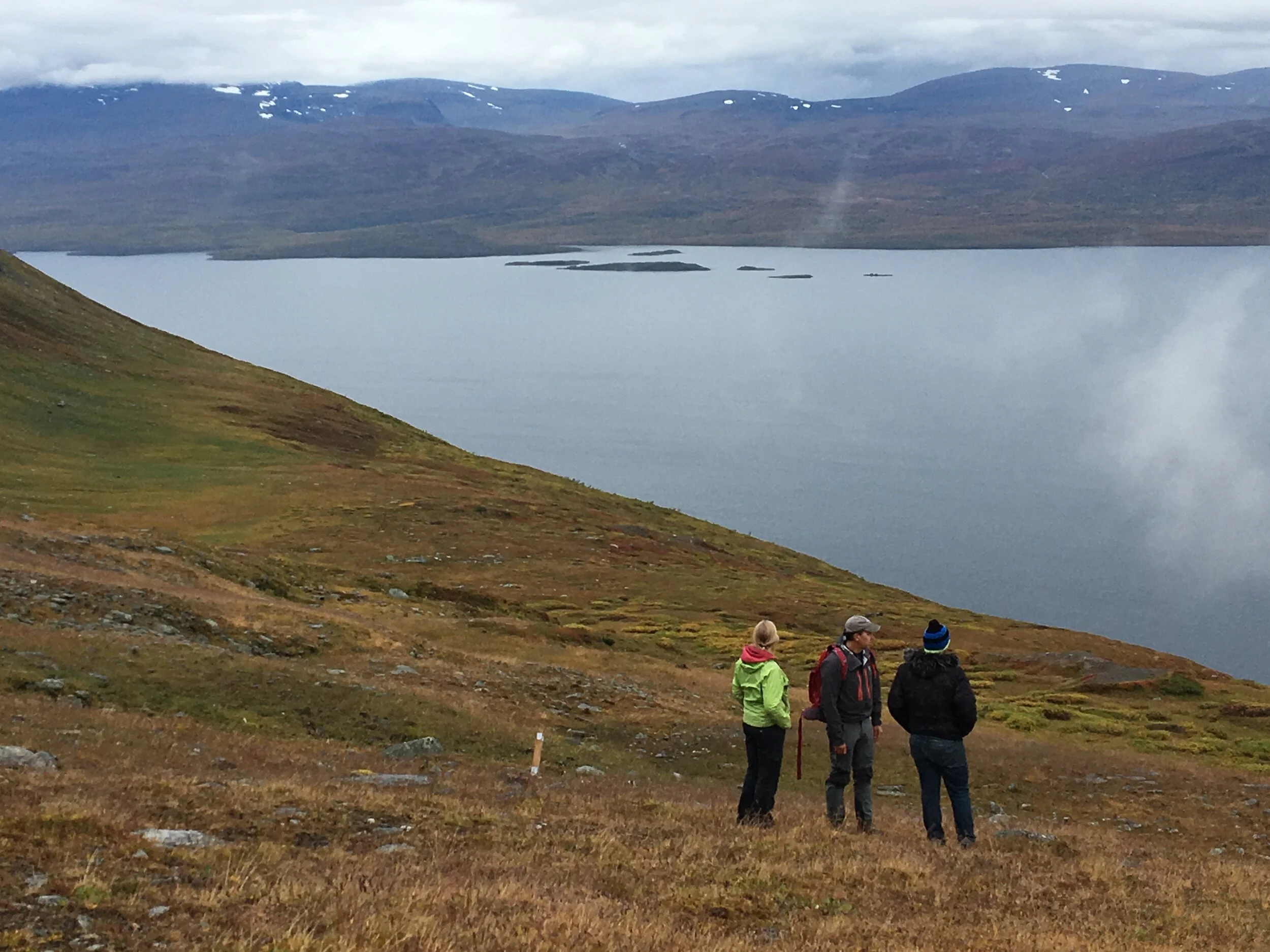 Andrew, Ellen, and the (Sort Of) Greening Arctic