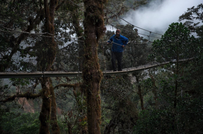   Fieldwork in Peru, visiting a canopy walkway  