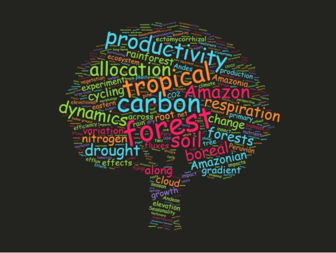   Wordcloud summarizing research keywords  