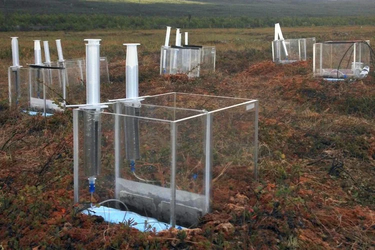 Postdoc position in plant-soil interactions in arctic tundra