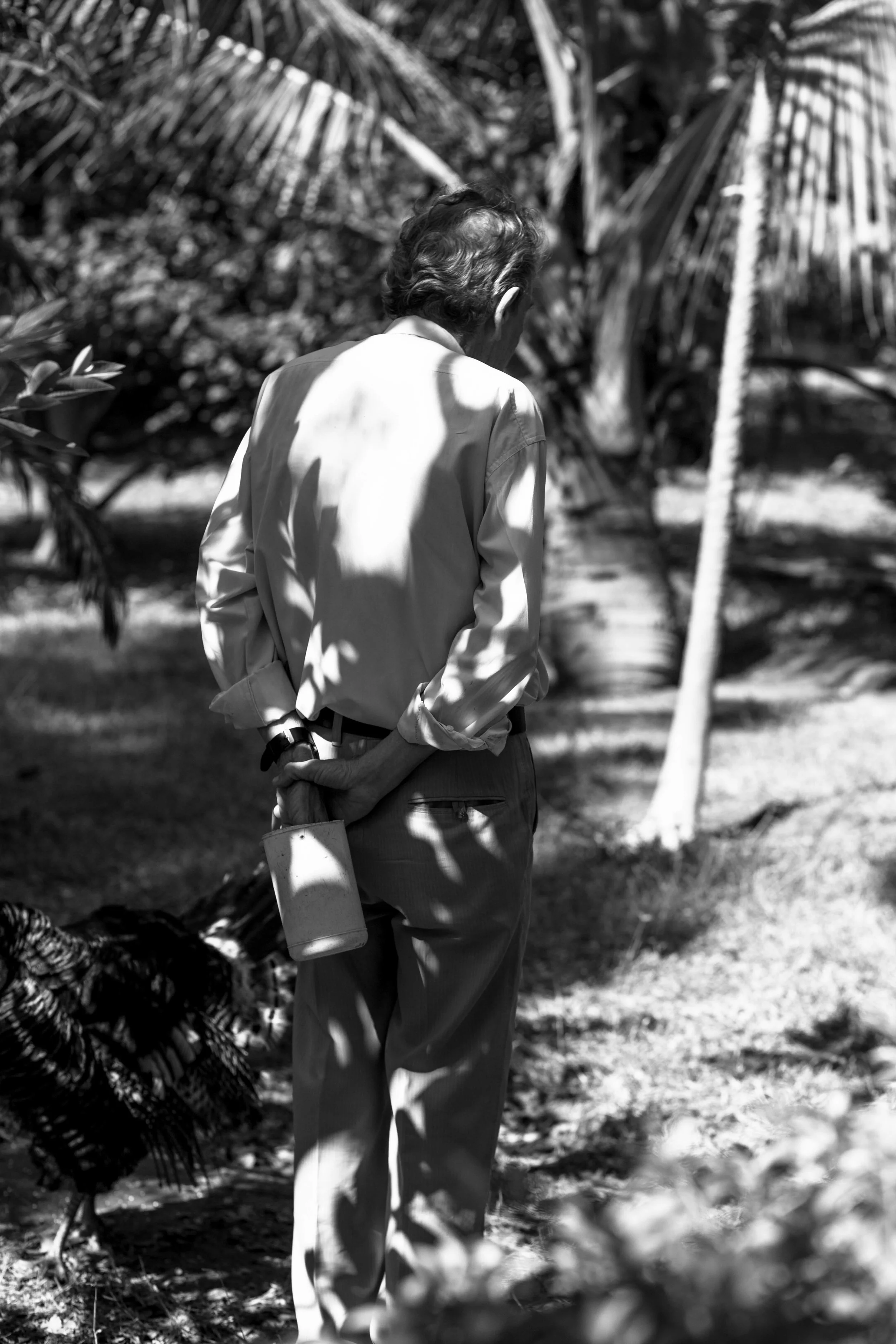 untitled-1285.jpg
