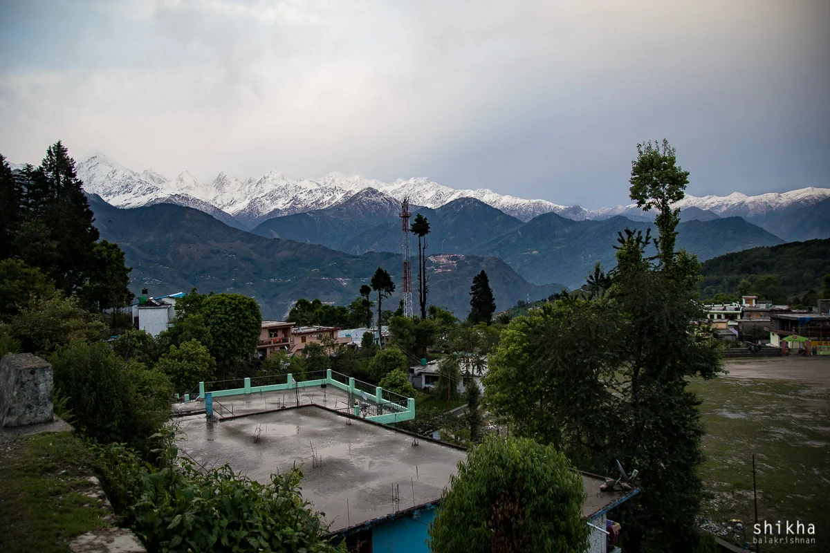 IMG_1415.jpg