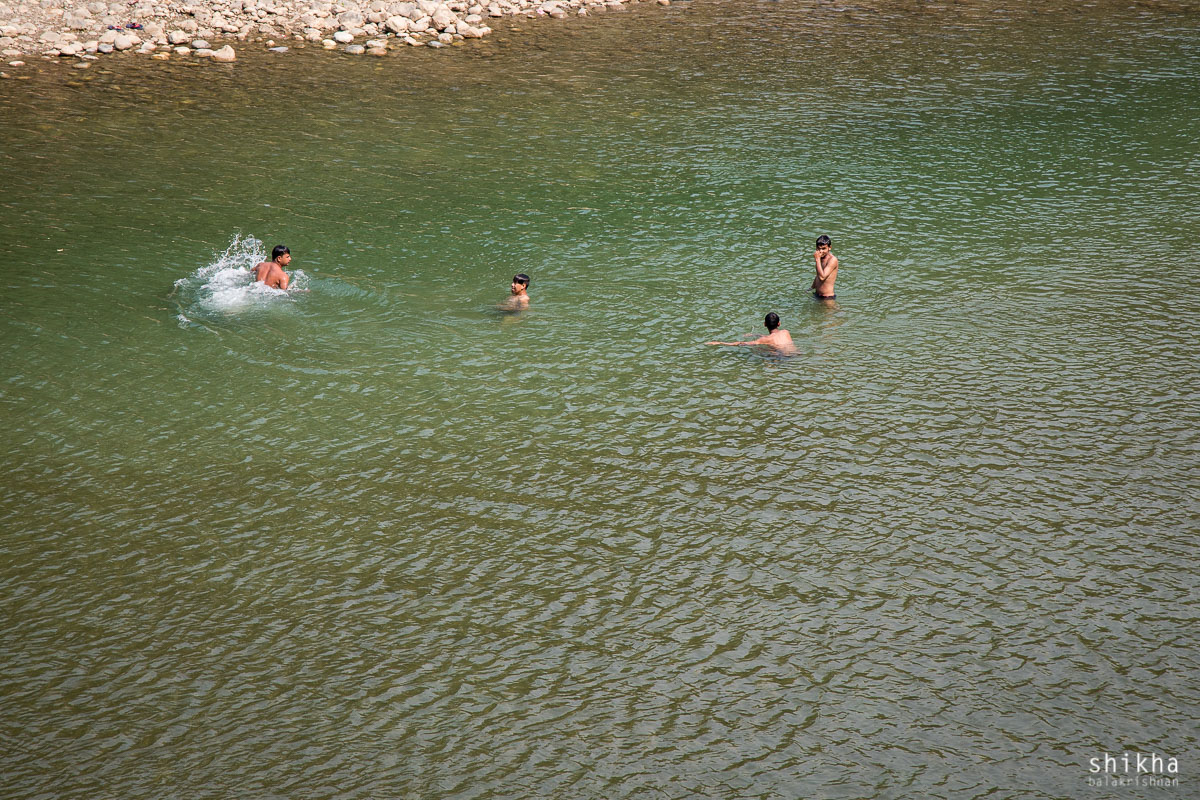 IMG_1736.jpg