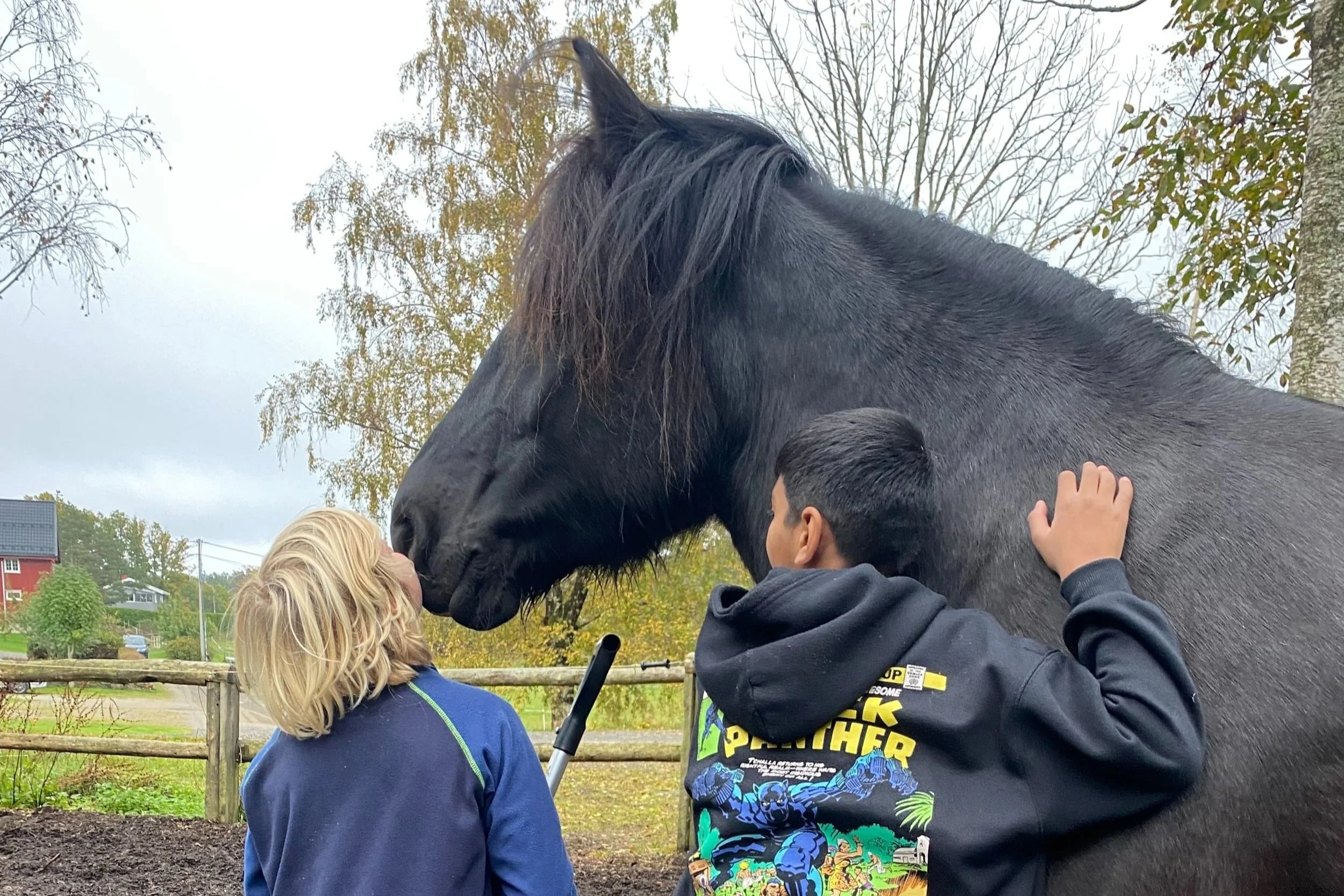 Sort hest får kos av to barn