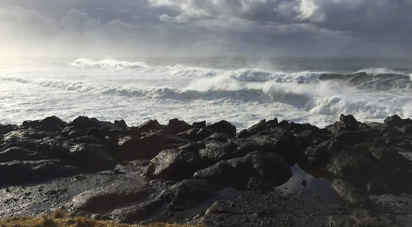 Posts of the Year Analyzed