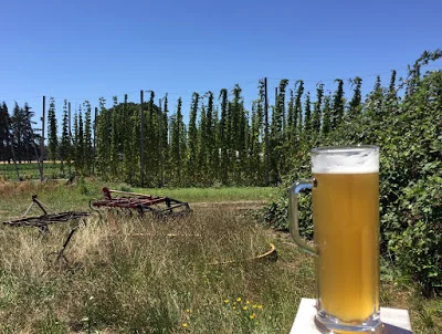 Beer Sherpa Recommends: Agrarian Field Bier