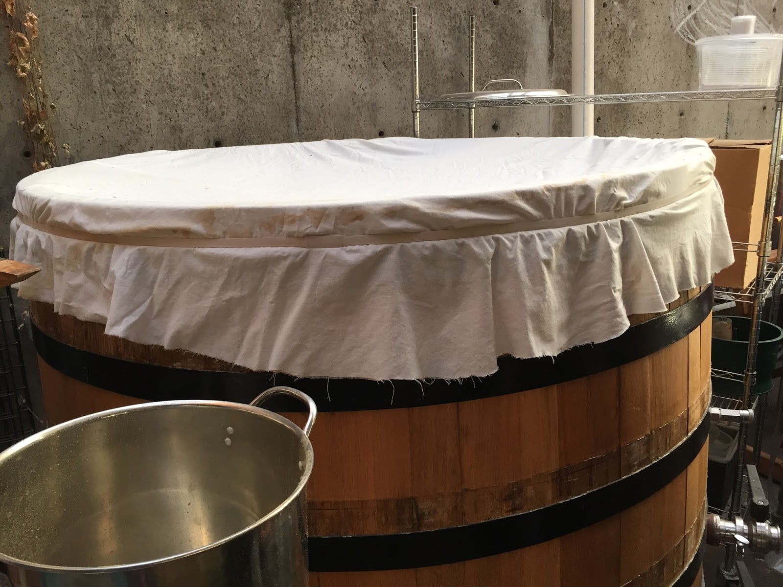 A Drive Down the Coast