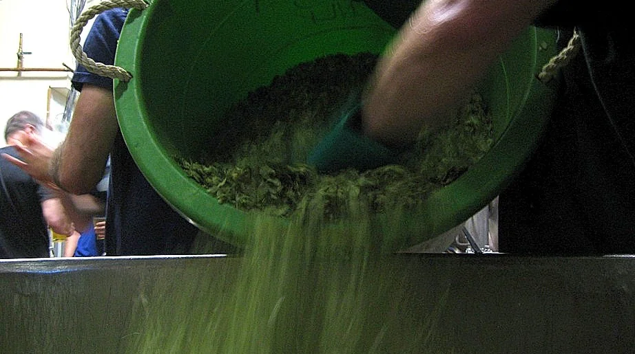 Like hops into cooling wort, so are the IPAs of our lives.
