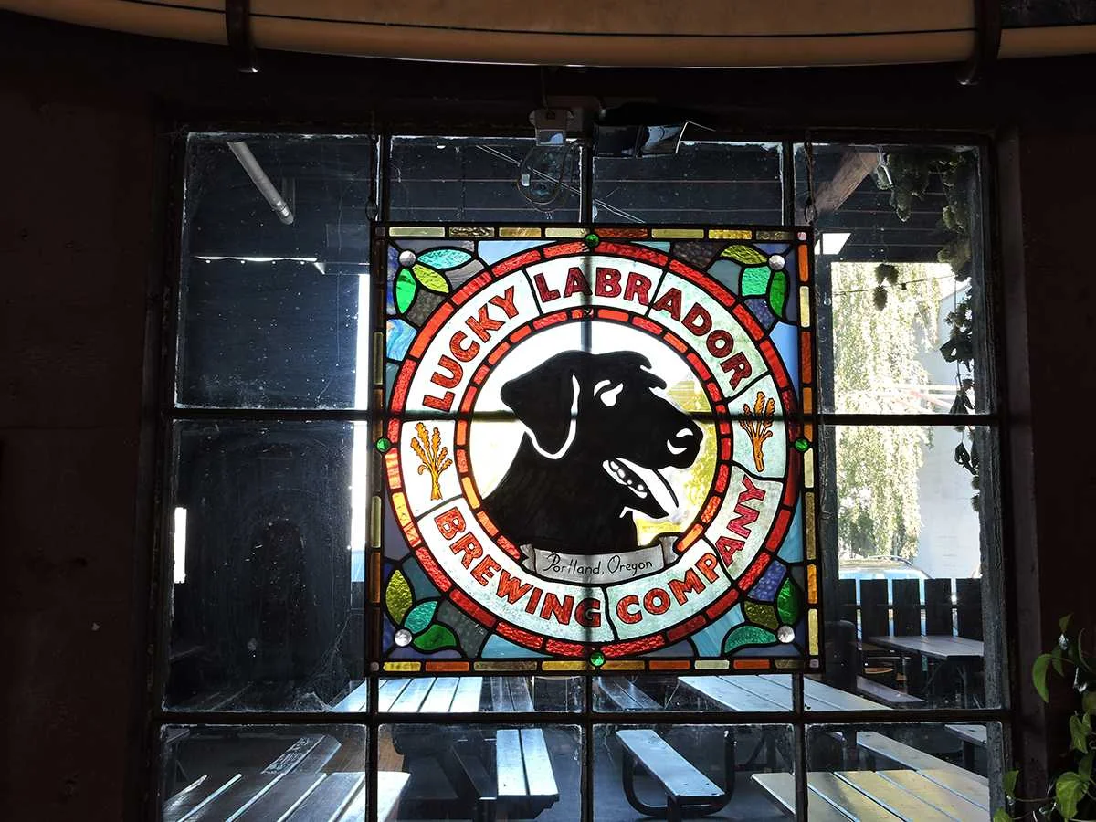 Constructive Criticism: Lucky Lab