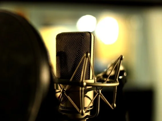 All the Podcasts