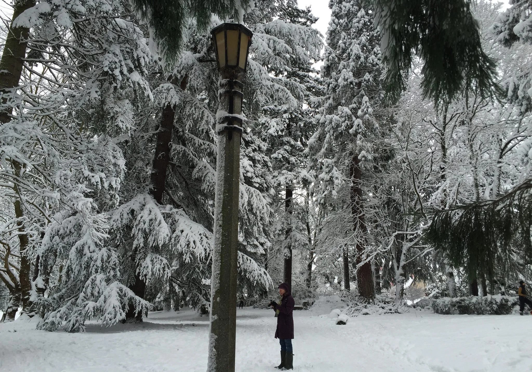 The year got started with a snowy blast.