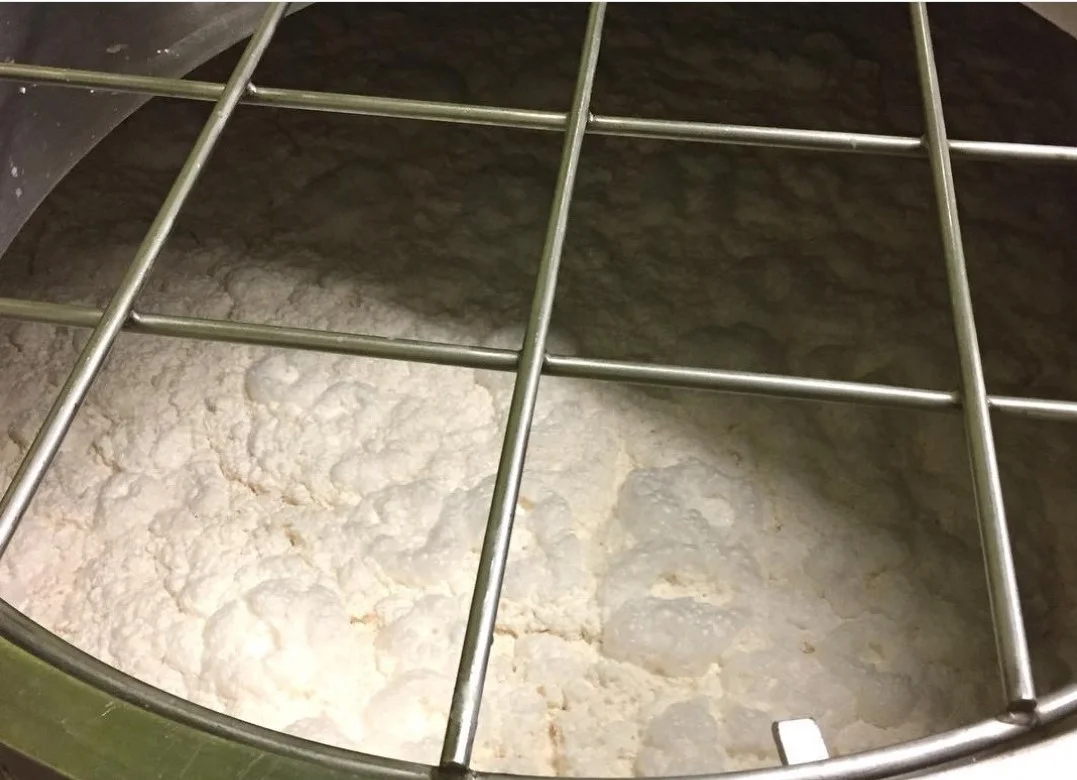 Fermentation. Click to enlarge.