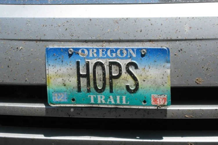 The Warehouses are Full of Way Too Many Hops