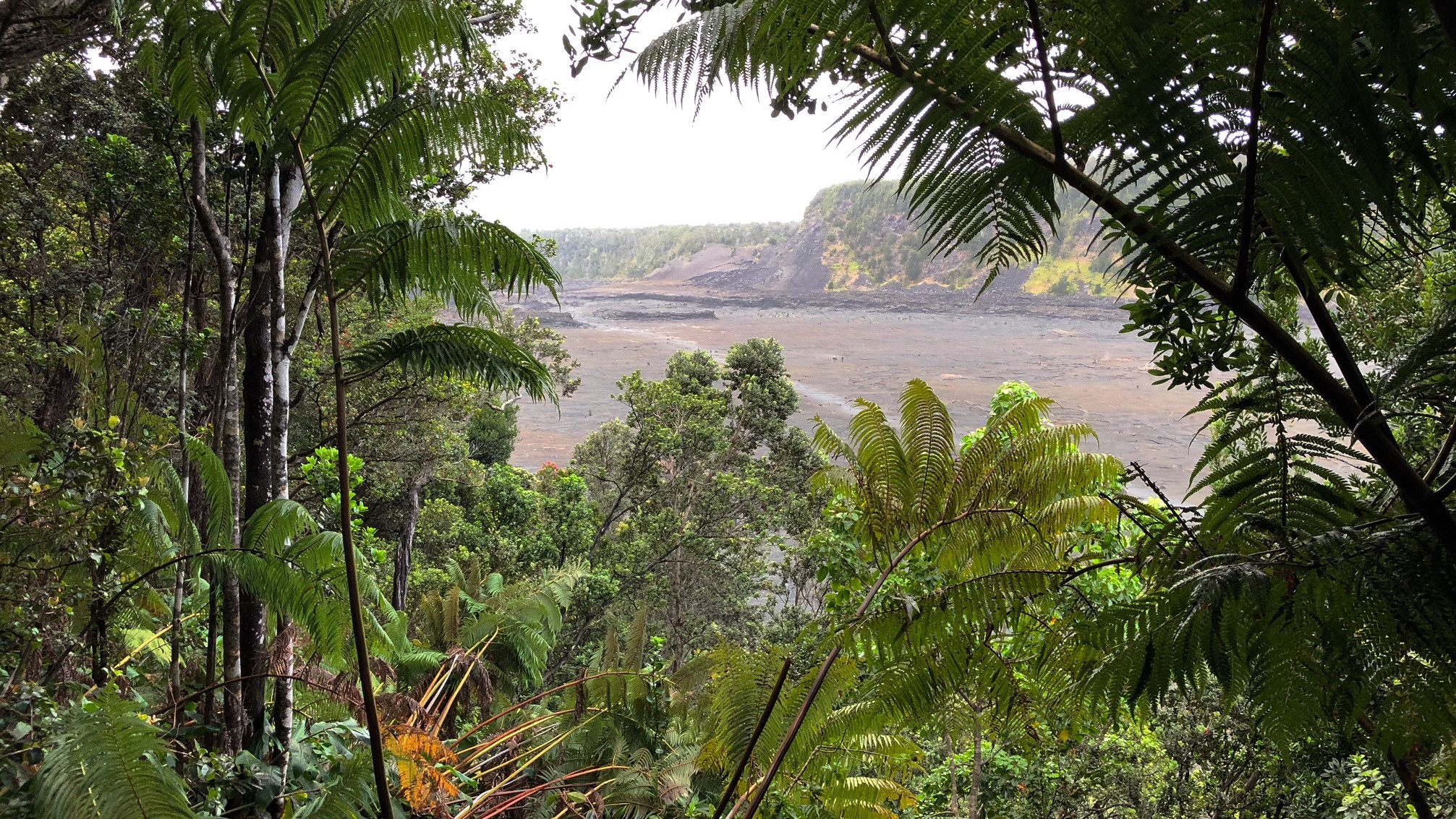  Peeking through the rainforest onto Kīlauea Iki--a small volcano near the larger Kilauea. 