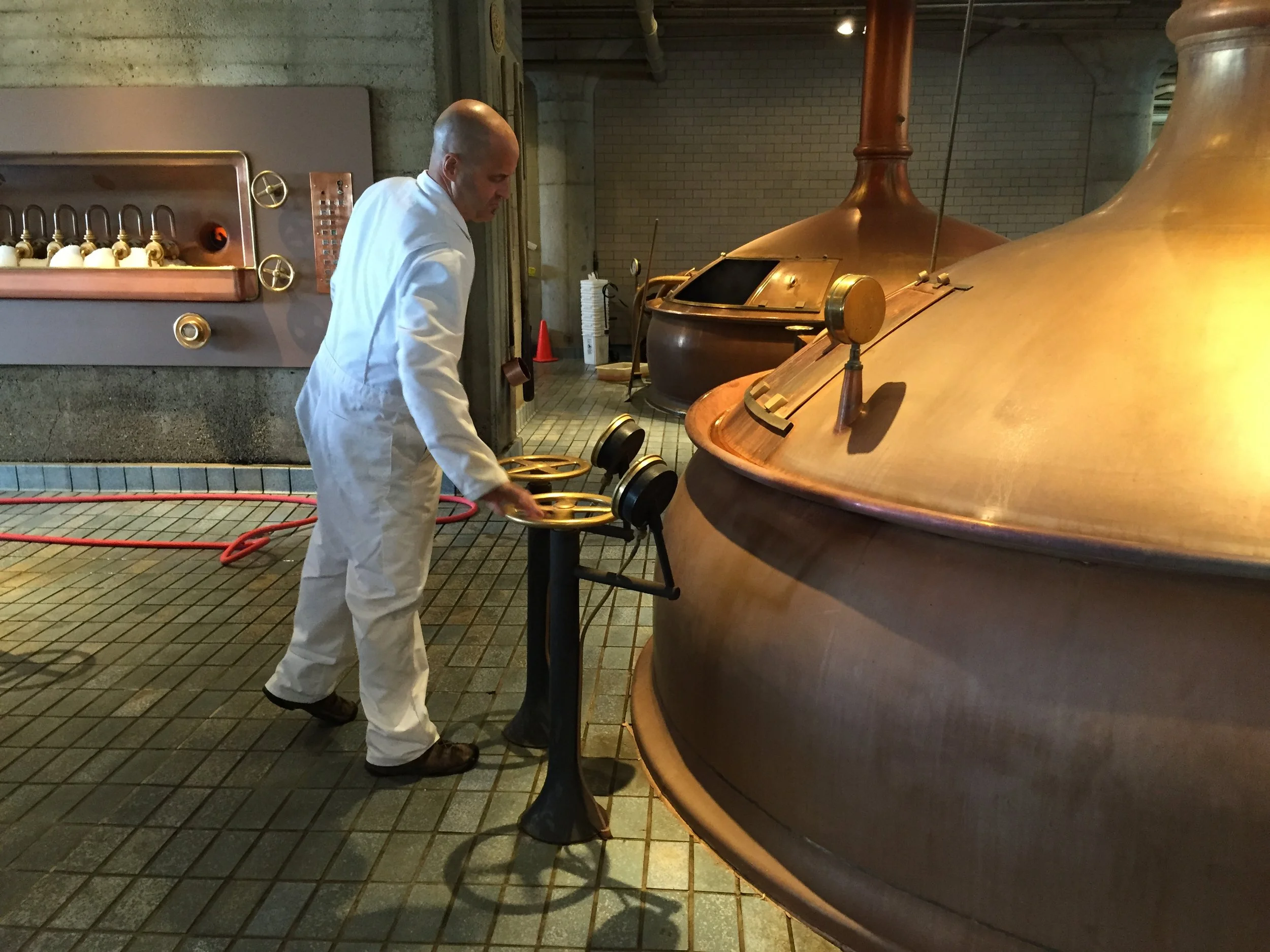 Brewer Survey: In Their Words