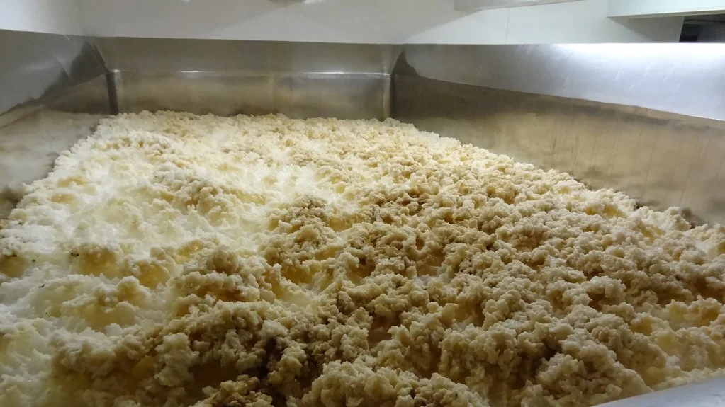 The phantasmagoria of yeast bubbling away in an open fermenter.