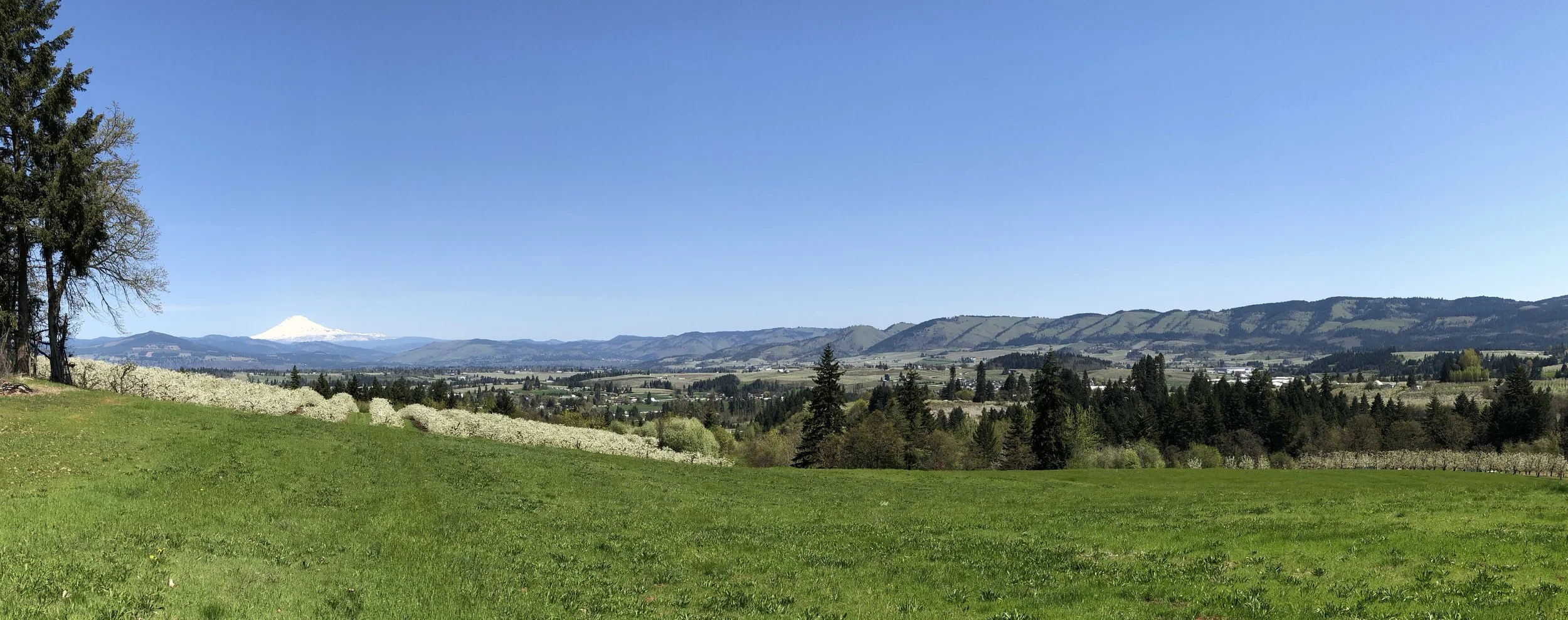 Panorama of the Valley looking north toward Adams.