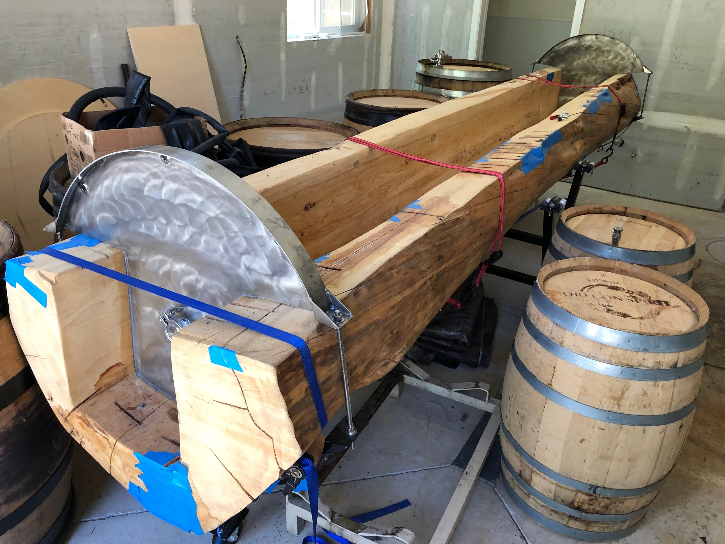 The future coolship—a spruce tree.