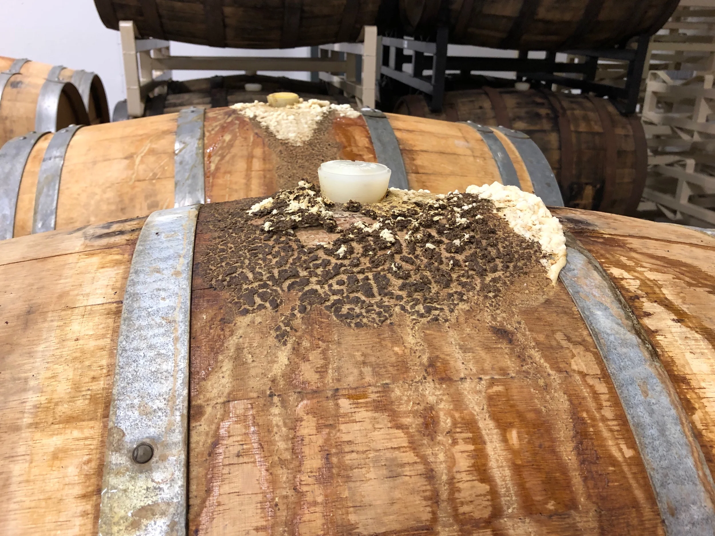 Crux’s barrel room.