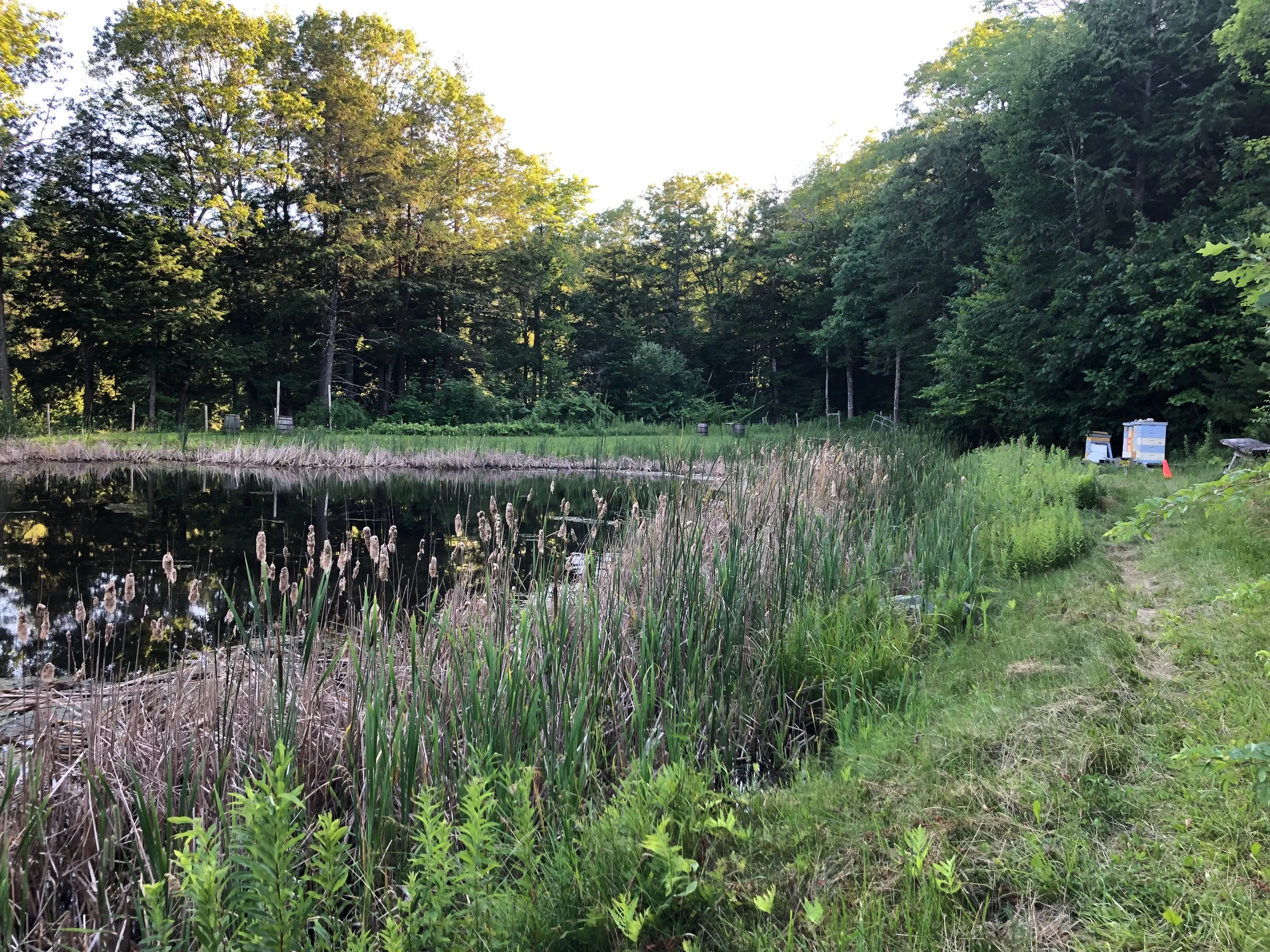 To the right you can see beehives; they make a honey beer, natch.