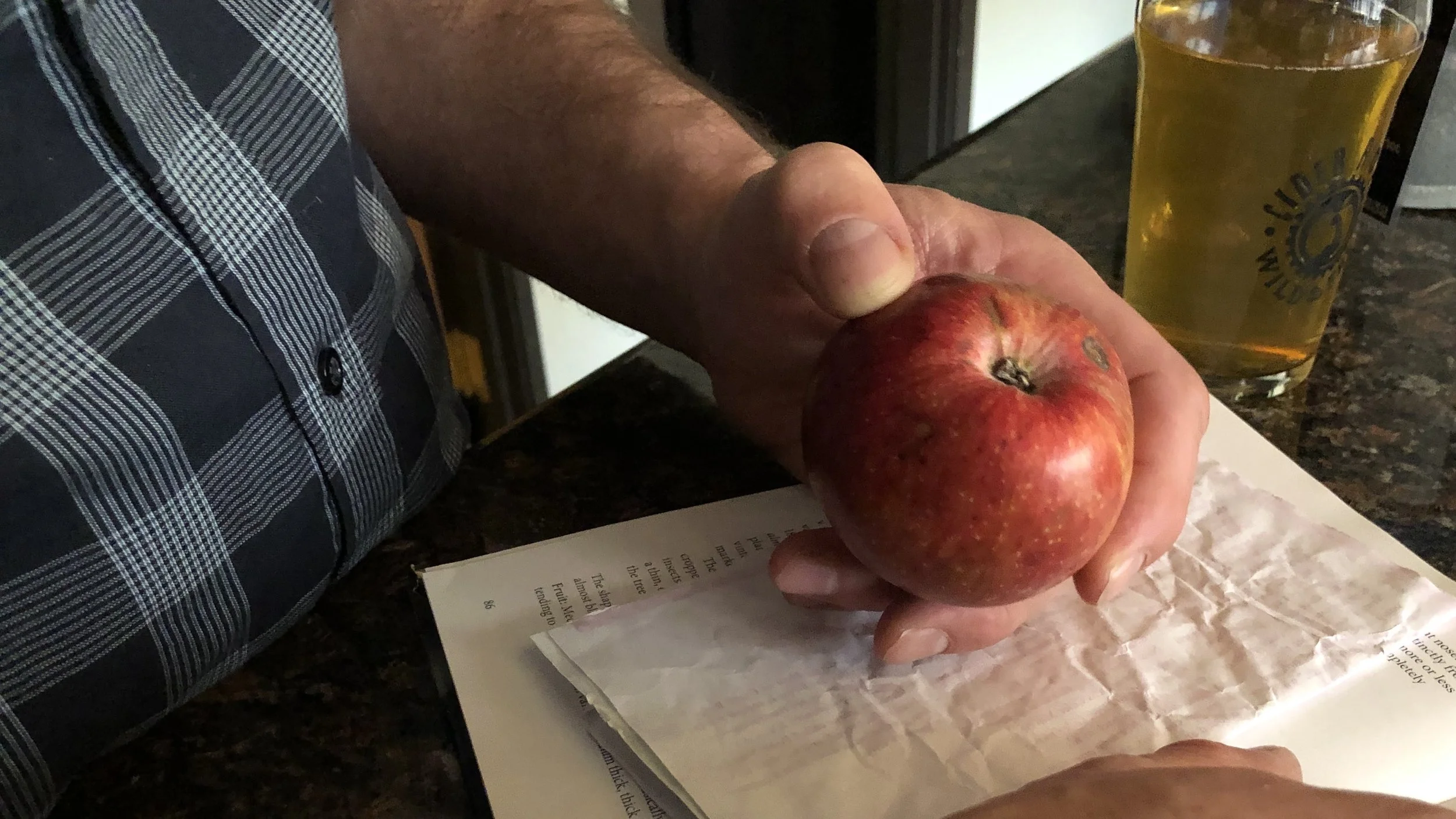 Our mutual comfort zone—talking apples.