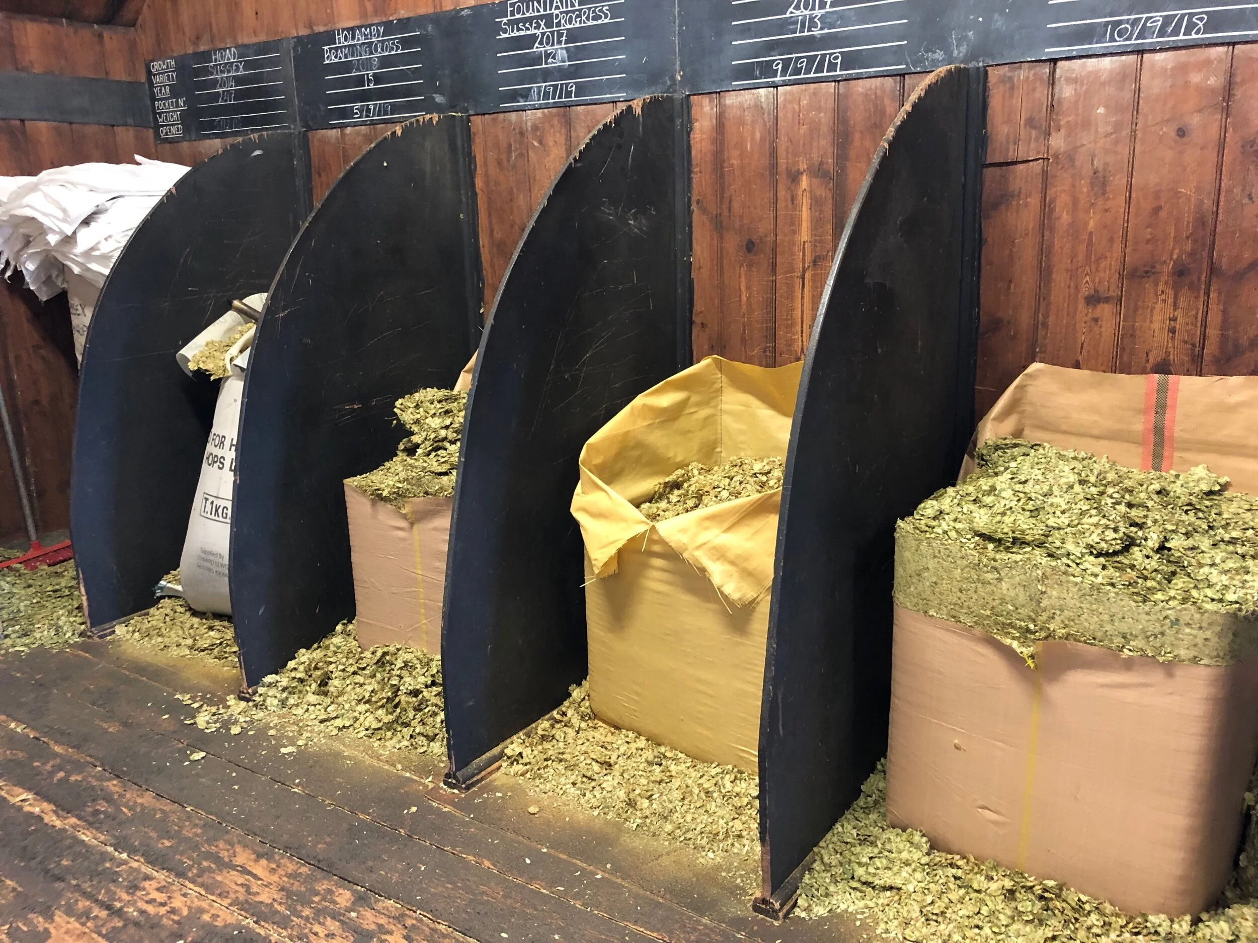 All hops are sourced from Sussex, Kent, and Surrey. Harvey’s is situated not far from most of the UK’s hop fields.