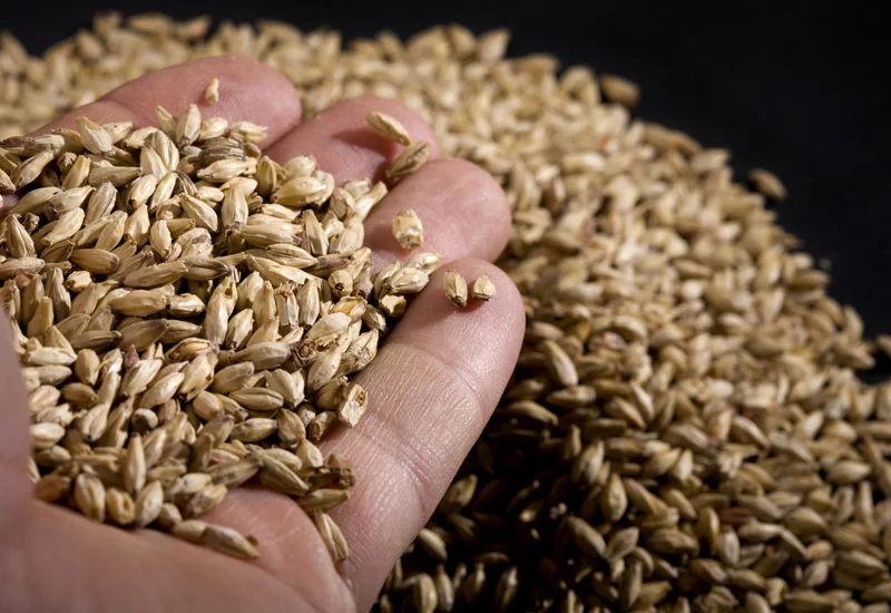 The Steady Decline of Caramel Malt