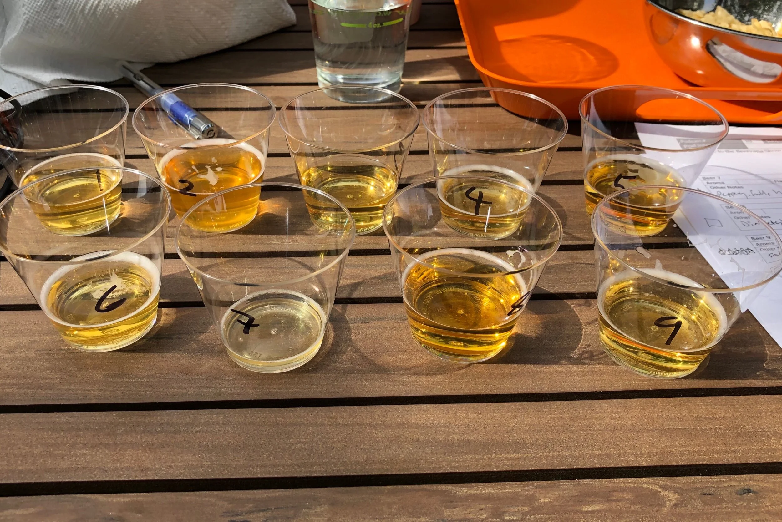 The Revelations of Blind Tastings