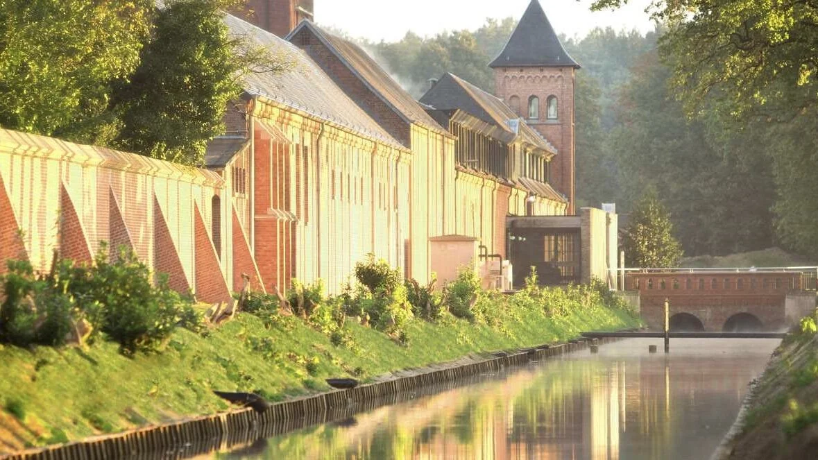 Westmalle Tripel: A Story of Evolution