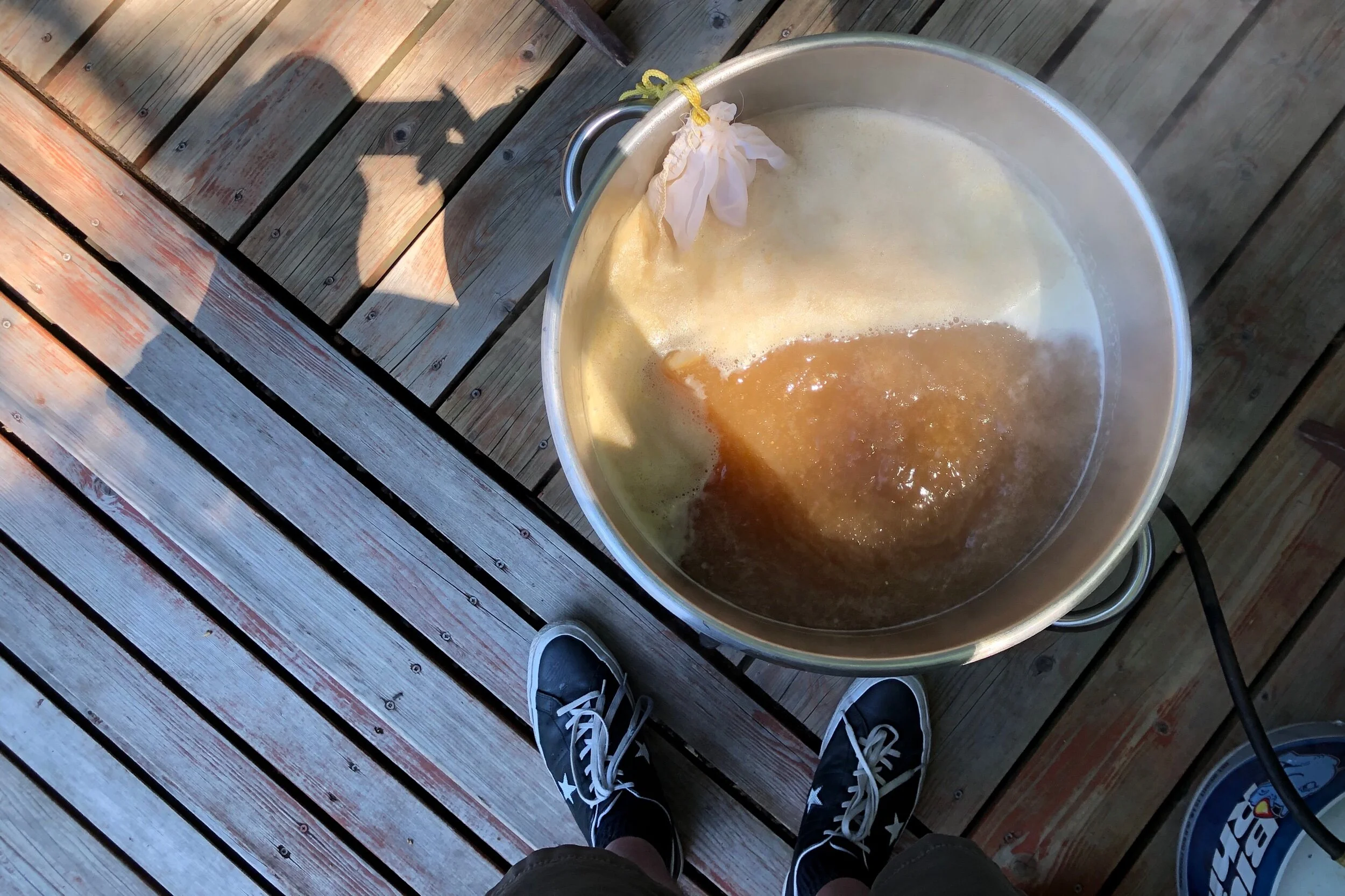 Medusa, Kveik, and Other Joys