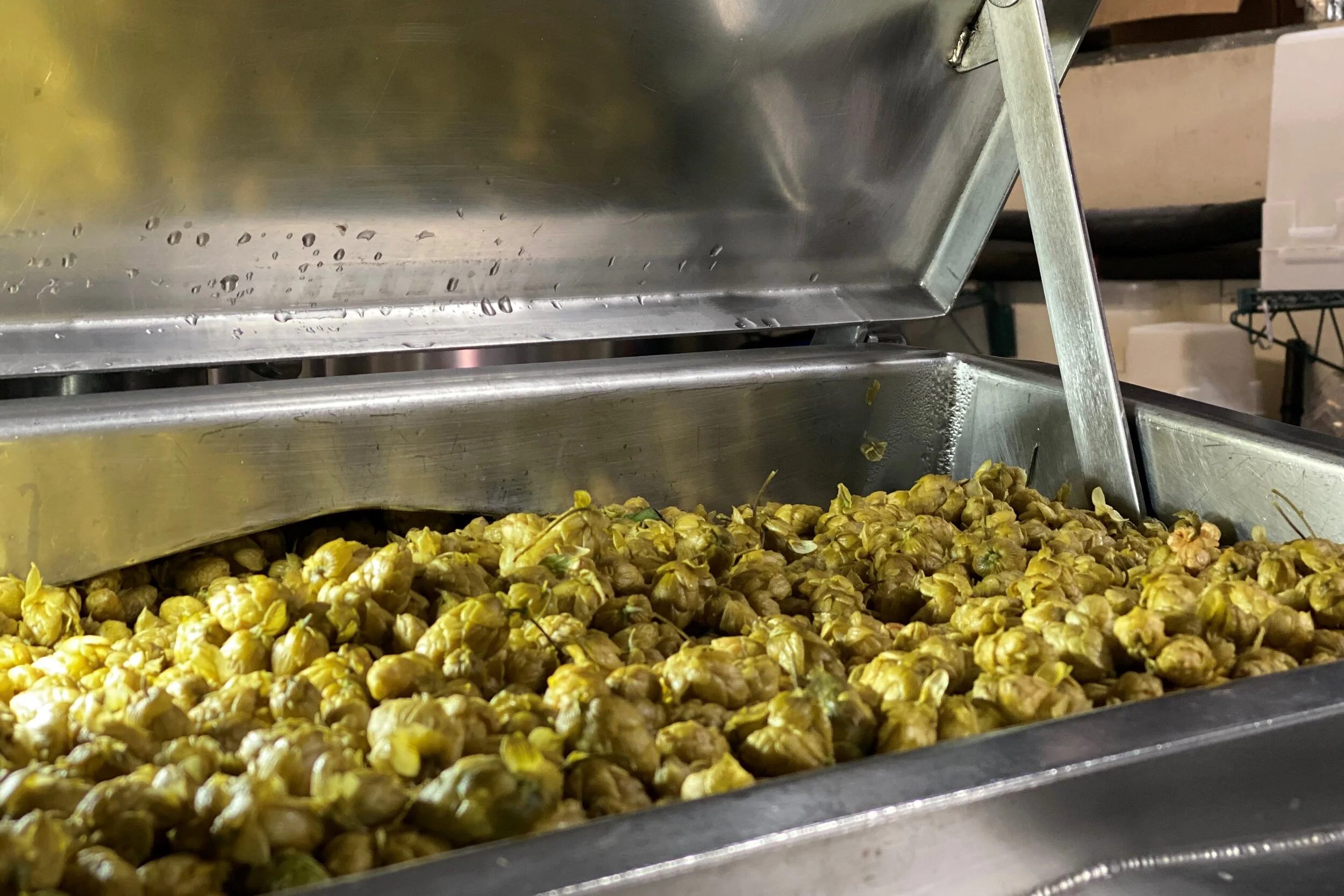 How StormBreaker Won Fresh Hop Season
