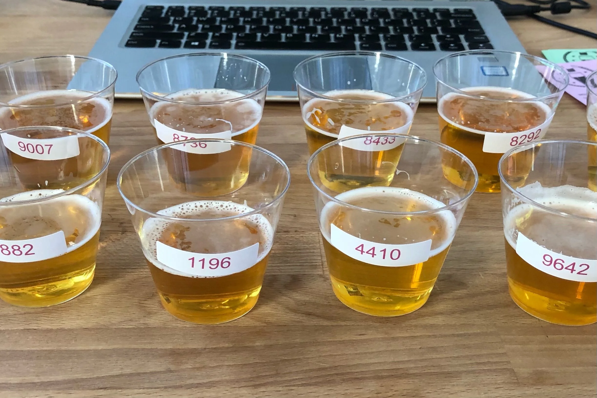 Oregon Beer Awards: Winners, Stats, and Notes