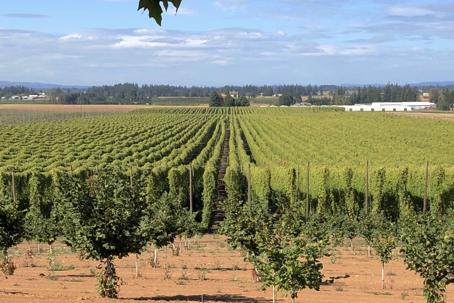 Mosaic Moves to Second and Other Hoppy Notes