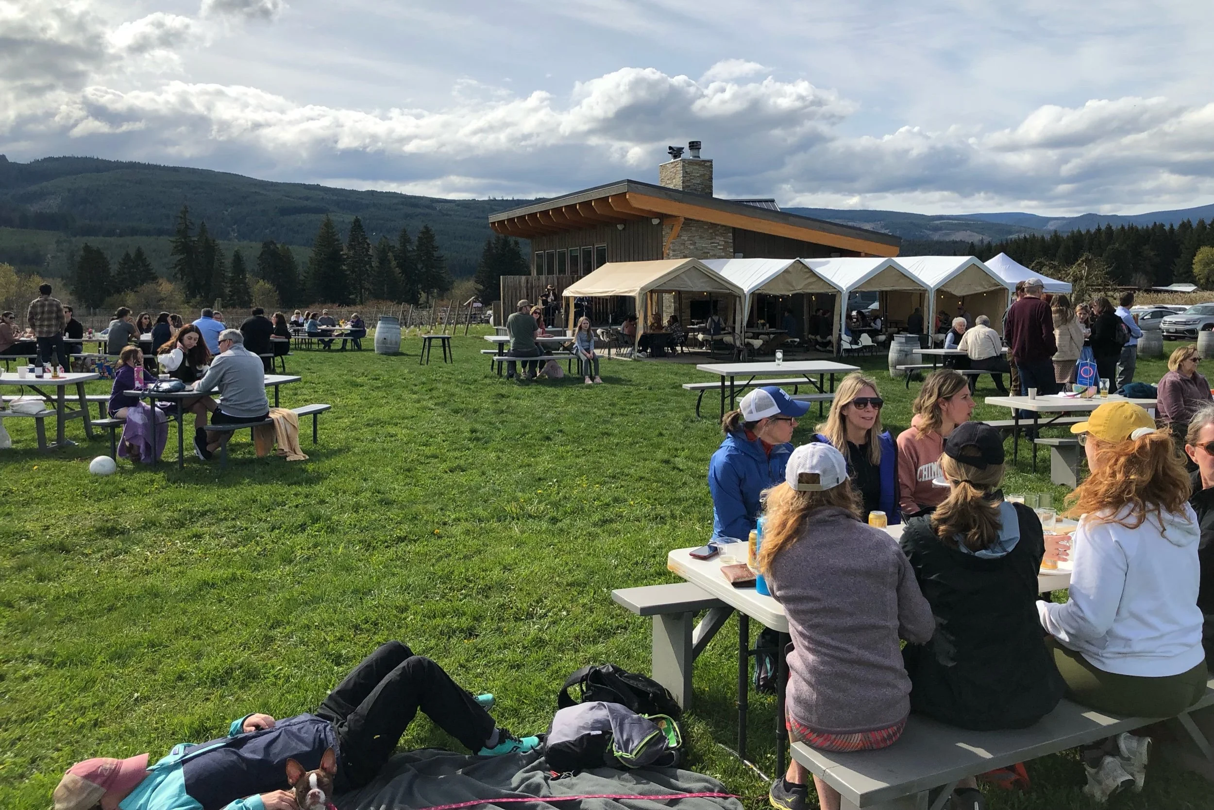 When a Brewery Feels Like a Snooty Winery