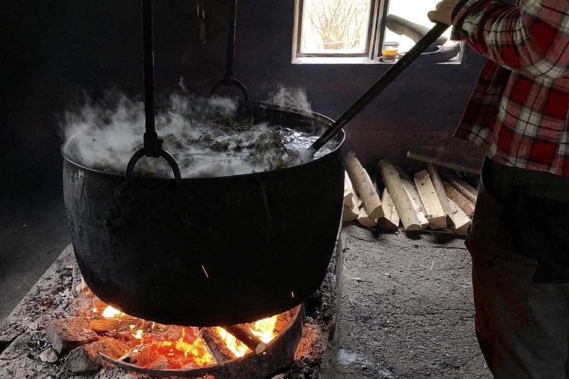 Between Amateur and Professional