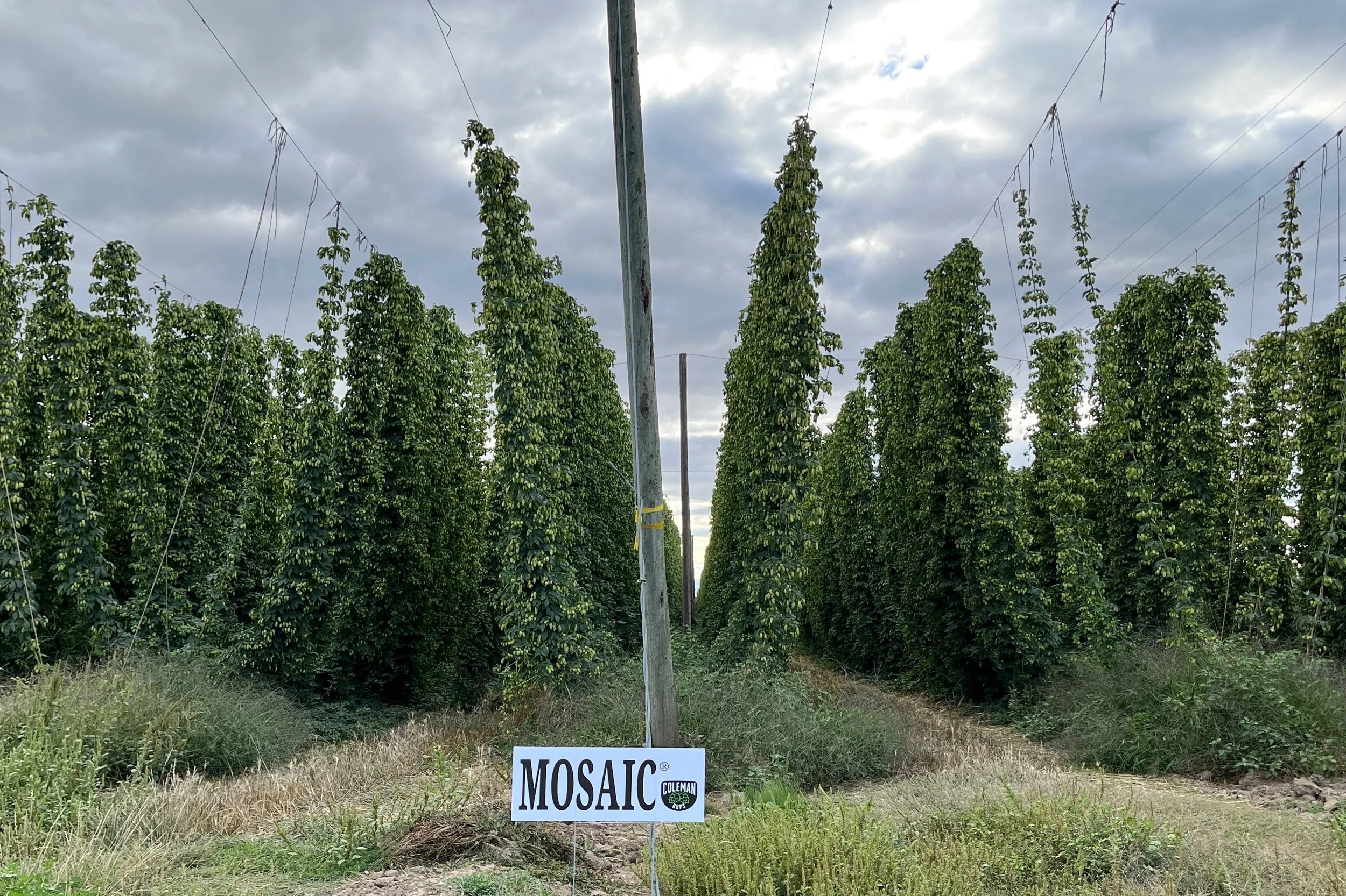 The Wonder of Harvest Time